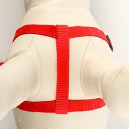 Шлейка с поводком «Базис», 32-46×1.5 см, поводок 120×1.5 см, красная