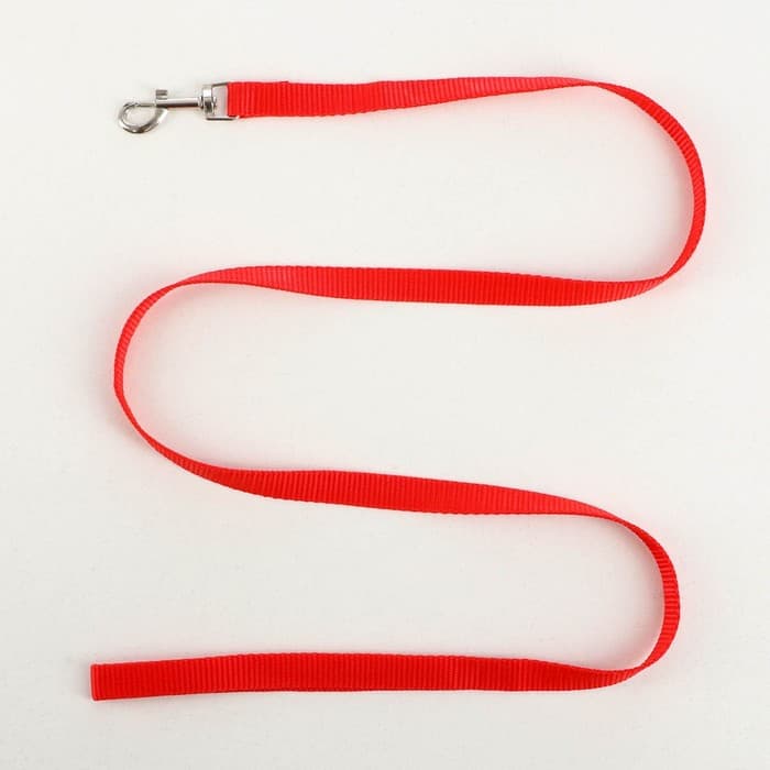 Шлейка с поводком «Базис», 32-46×1.5 см, поводок 120×1.5 см, красная