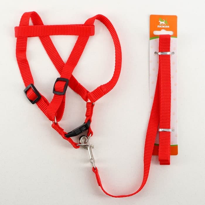 Шлейка с поводком «Базис», 32-46×1.5 см, поводок 120×1.5 см, красная