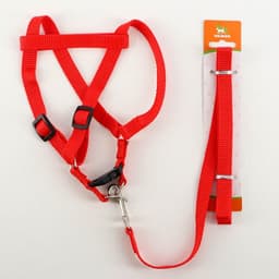 Шлейка с поводком «Базис», 32-46×1.5 см, поводок 120×1.5 см, красная