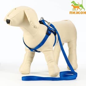 Комплект «Базис», поводок 120×1.5 см, шлейка 32-46×1.5 см, синий