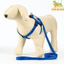 Комплект «Базис», поводок 120×1.5 см, шлейка 32-46×1.5 см, синий