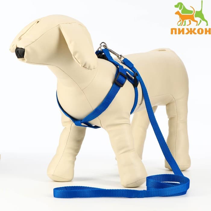 Комплект «Базис», поводок 120×1.5 см, шлейка 32-46×1.5 см, синий