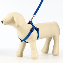 Комплект «Базис», поводок 120×1.5 см, шлейка 32-46×1.5 см, синий