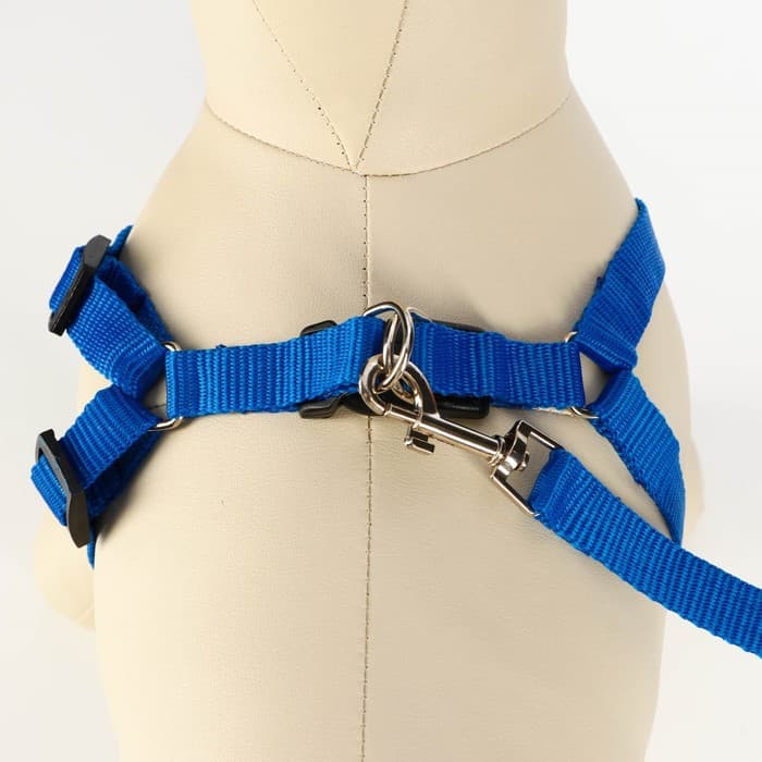 Комплект «Базис», поводок 120×1.5 см, шлейка 32-46×1.5 см, синий