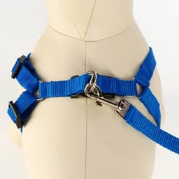 Комплект «Базис», поводок 120×1.5 см, шлейка 32-46×1.5 см, синий