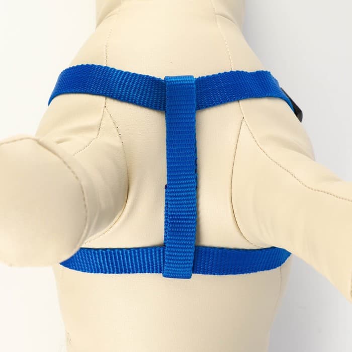 Комплект «Базис», поводок 120×1.5 см, шлейка 32-46×1.5 см, синий