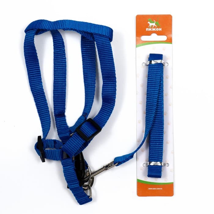 Комплект «Базис», поводок 120×1.5 см, шлейка 32-46×1.5 см, синий