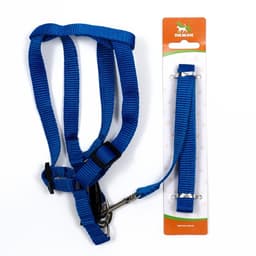 Комплект «Базис», поводок 120×1.5 см, шлейка 32-46×1.5 см, синий