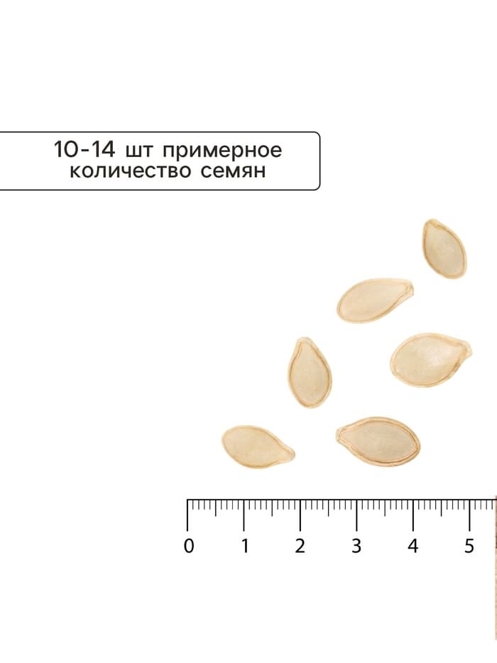Семена Кабачок цукини «Застольный», 2 г, раннеспелый, «СеДеК»