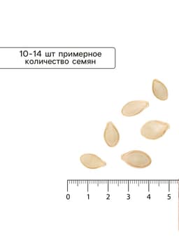 Семена Кабачок цукини «Застольный», 2 г, раннеспелый, «СеДеК»