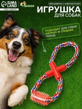 Игрушка для собак канатная «Восьмерка с зубочисткой», тренировочная, до 27 см, до 140 г, цвет МИКС