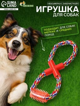 Игрушка для собак канатная «Восьмерка с зубочисткой», тренировочная, до 27 см, до 140 г, цвет МИКС