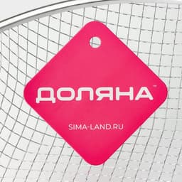 Фритюрница Доляна, d=24 см, серебристая