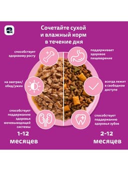 Сухой корм Whiskas для котят, индейка/морковь/молоко, подушечки, 350 г