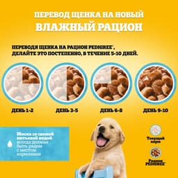 Влажный корм Pedigree для щенков, говядина в соусе, пауч, 85 г