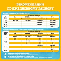 Влажный корм Pedigree для щенков, говядина в соусе, пауч, 85 г