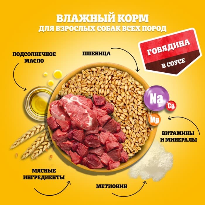 Влажный корм Pedigree для собак, говядина в соусе, пауч, 85 г