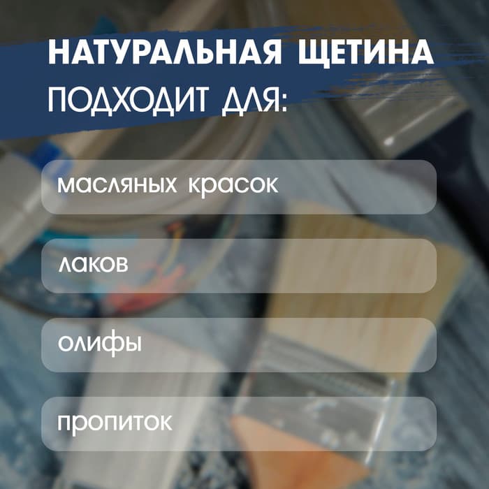 Кисть плоская ТУНДРА, натуральная щетина, пластиковая рукоятка, 1", 25 мм