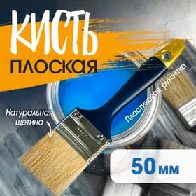 Кисть плоская ТУНДРА, натуральная щетина, пластиковая рукоятка, 2", 50 мм