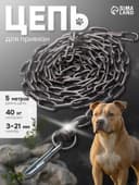 Цепь для привязи собак, 5 м, калибр 3×21 мм, черная