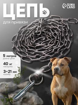 Цепь для привязи собак, 5 м, калибр 3×21 мм, черная