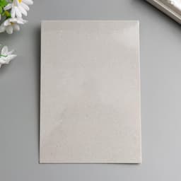 Набор уголков с кармашком для фотографий 102 уголка «Классика», 10.3×15.1 см