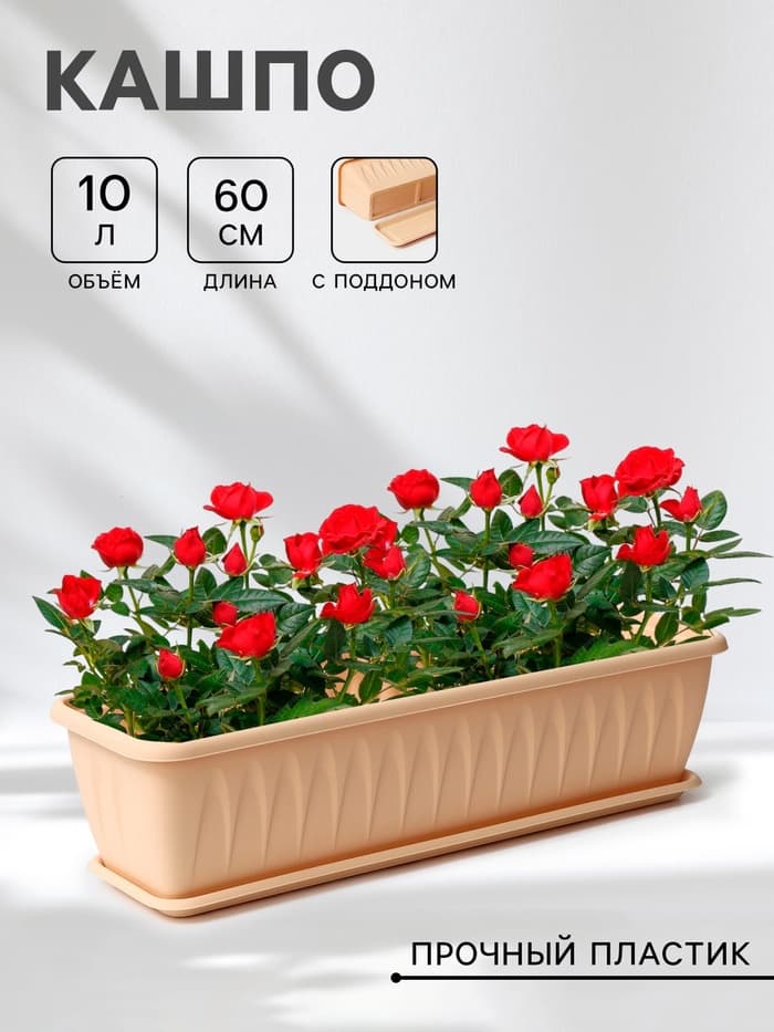 Балконный ящик для цветов «Алиция», 10 л, 60×18.5×15.5 см пластиковый, цвет белая глина