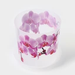 Горшок для орхидей с поддоном «Деко», 2.4 л, пластиковый, прозрачный