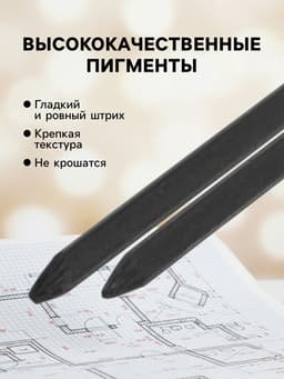 Грифели для цанговых карандашей Koh-I-Noor 4190, 12 штук, узел 2.0 мм, HB, в футляре
