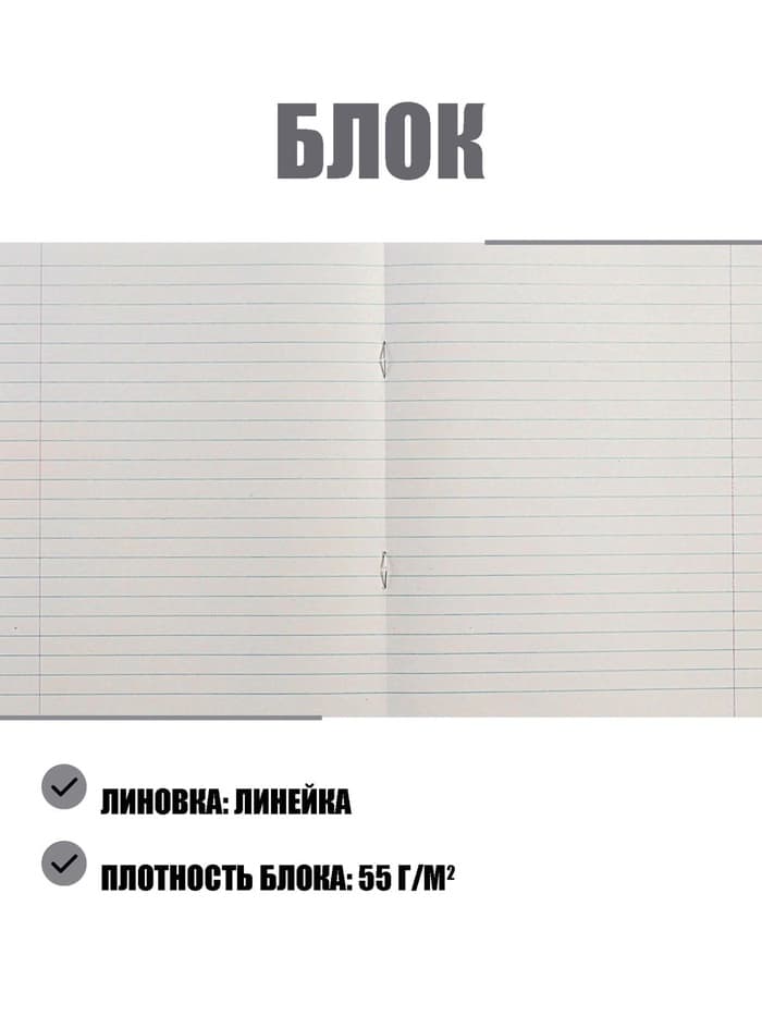 Тетрадь 12 листов в линейку «Зелёная обложка», эконом, плотность 60 г/м²