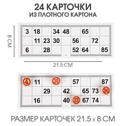 Русское лото настольная игра с фишками «Вояж», 9×24×12.5 см