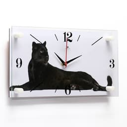 Часы настенные, интерьерные «Пантера», бесшумные, 20×40 см, белые