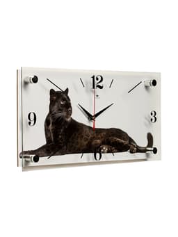 Часы настенные, интерьерные «Пантера», бесшумные, 20×40 см, белые