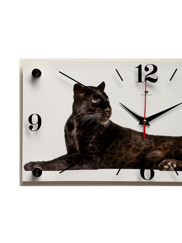 Часы настенные, интерьерные «Пантера», бесшумные, 20×40 см, белые