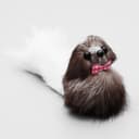 Мышь малая, корпус 5 см, натуральный мех, цвет МИКС