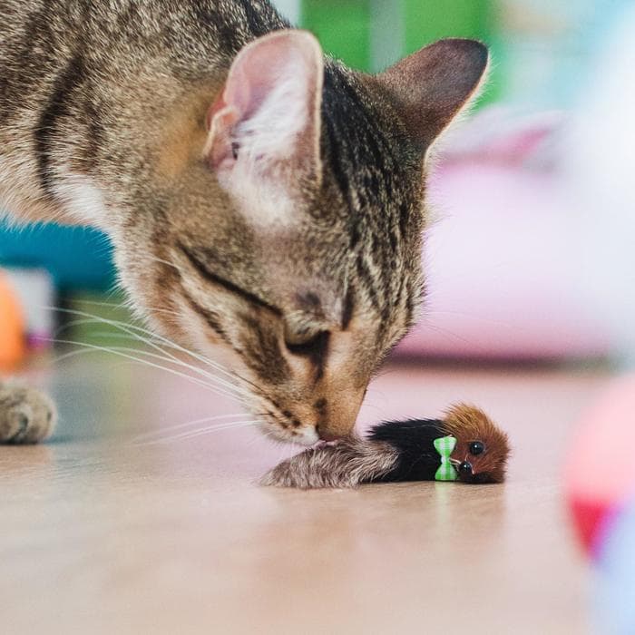 Мышь малая, корпус 5 см, натуральный мех, цвет МИКС