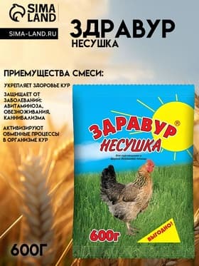 Премикс Здравур «Несушка» для кур и домашней птицы, минеральная добавка, 600 г