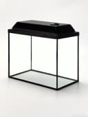 Аквариум «Прямоугольный» с крышкой, 25 л, 38×21×31/36 см, чёрный