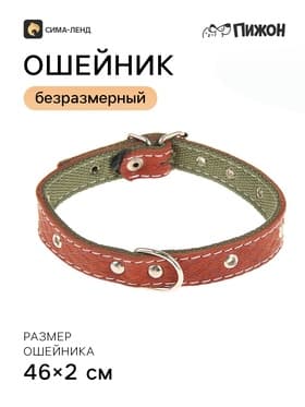 Ошейник комбинированный, 46×2 см, безразмерный, кожа, брезент, цвет МИКС