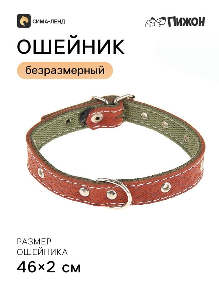 Ошейник комбинированный, 46×2 см, безразмерный, кожа, брезент, цвет МИКС