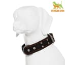 Ошейник тисненый однослойный, безразмерный, 74×4.5 см, ОШ 35-65 см, кожа, МИКС