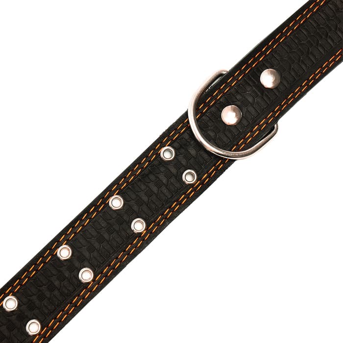 Ошейник тисненый однослойный, безразмерный, 74×4.5 см, ОШ 35-65 см, кожа, МИКС