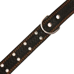 Ошейник тисненый однослойный, безразмерный, 74×4.5 см, ОШ 35-65 см, кожа, МИКС