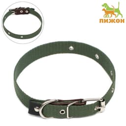 Ошейник брезентовый однослойный, 52×2 см, ОШ 25-45 см, тёмно-зелёный