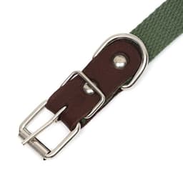 Ошейник брезентовый однослойный, 52×2 см, ОШ 25-45 см, тёмно-зелёный