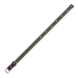 Ошейник брезентовый однослойный, 52×2 см, ОШ 25-45 см, тёмно-зелёный
