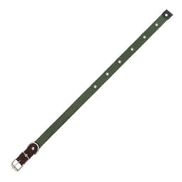 Ошейник брезентовый однослойный, 52×2 см, ОШ 25-45 см, тёмно-зелёный