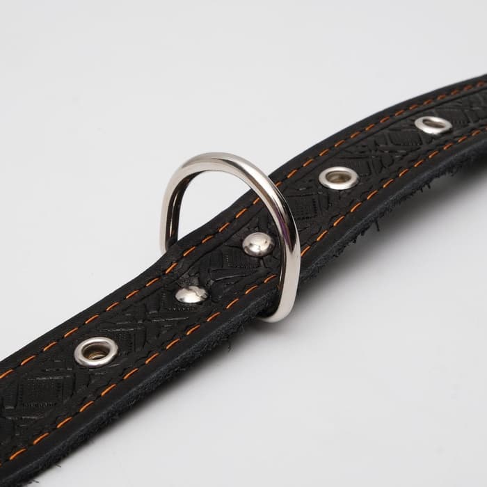 Ошейник кожаный тисненый однослойный, безразмерный, 3×60 см, ОШ 42-55 см, микс цветов