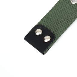 Ошейник брезентовый однослойный, 66×3 см, ОШ 33-60 см, тёмно-зелёный